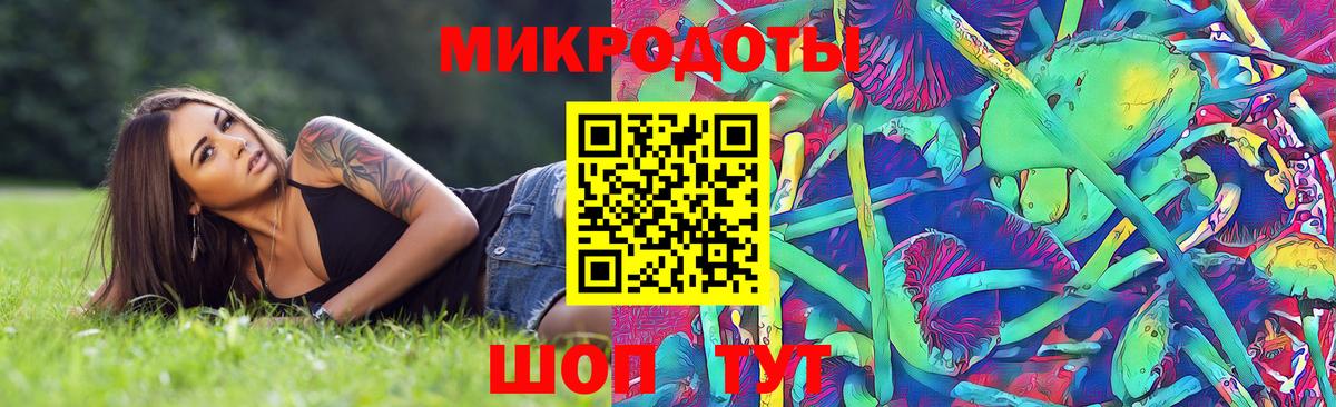 Галлюциногенные грибы мухоморы  Псилоцибиновые грибы Magic Shrooms  Магадан  Вход с VPN 