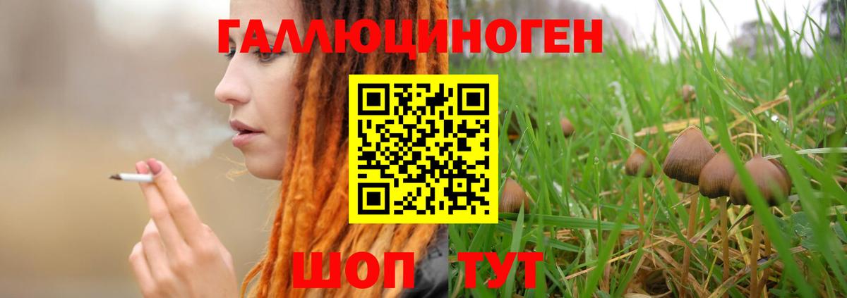 Псилоцибиновые грибы MAGIC MUSHROOMS Магадан